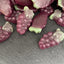 Mayceys Sour Grapes NZ