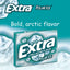 Extra Gum Polar Ice