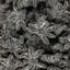 black-spiders-sugared.jpg