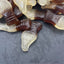 Cola Bottles Sugar Free
