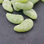 Spearmint Leaves