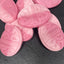 BUBS Strawberry Pomegranate Ovals