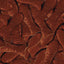Chocolate Baby Fish NZ