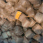 Honeycomb Chocolate