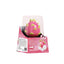 Dragonfruit Ice Cream 75g