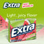 Extra Gum Sweet Watermelon