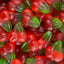 kingsway-oiled-twin-cherries-uk-loose.jpg