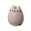 Pusheen Candy Tin - Canberra Candy