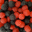 Black & Reds NZ *
