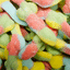 sour-lizards-loose.gif