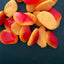 spicy-mango.jpg