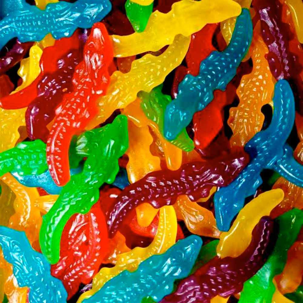Mayceys Crocodiles NZ Main image