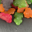 Fruity Frogs*