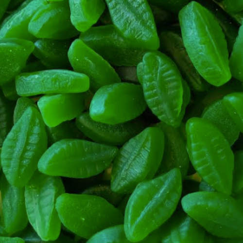 Spearmint leaves NZ
