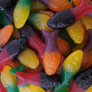 two-tone gummy colourful fish in rainbow colours